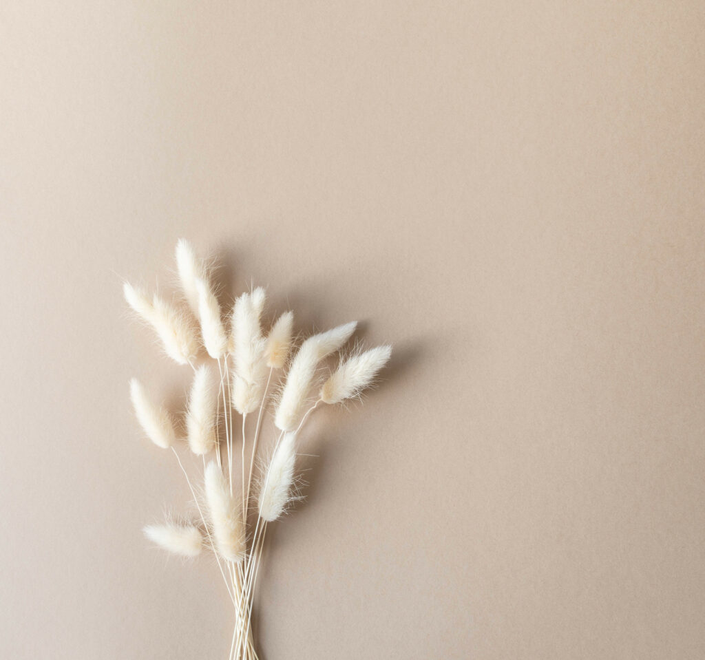 Home inspiration, Minimalist Decor