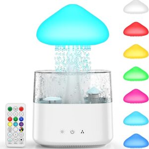 Rain Cloud Humidifier