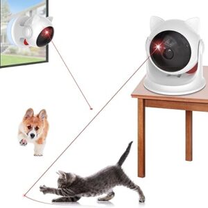 Interactive Cat Laser